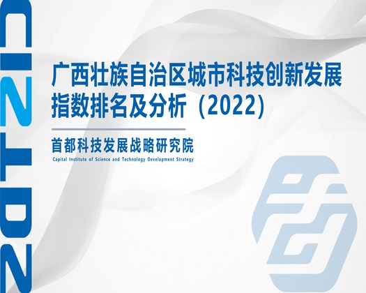 后入抽插锕啊啊啊【成果发布】广西壮族自治区城市科技创新发展指数排名及分析（2022）